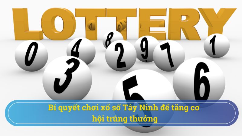 Chia sẻ mẹo chơi xổ số Tây Ninh chuyên nghiệp  để tăng cơ hội trúng giải