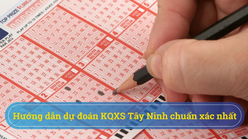 Cách dự đoán KQXS Tây Ninh hiệu quả từ những lô thủ chuyên nghiệp